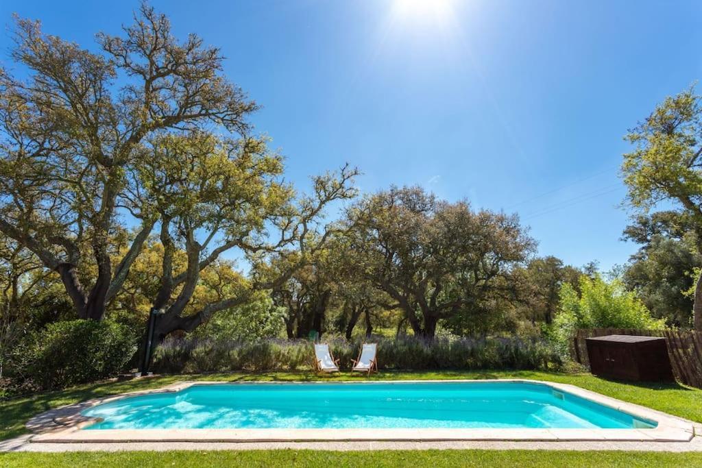 Monte Dos Passarinhos Villa Grandola Ngoại thất bức ảnh
