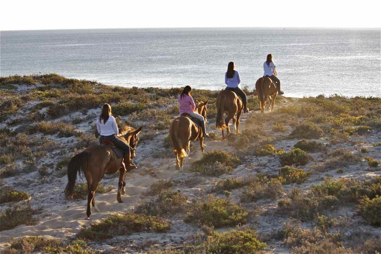 Monte Dos Passarinhos Villa Grandola Ngoại thất bức ảnh